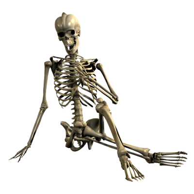 Skeleton, Skull Photos PNG Images