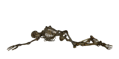 Skeleton Transparency PNG Images