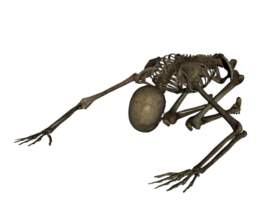 Skeleton Hd Image PNG Images