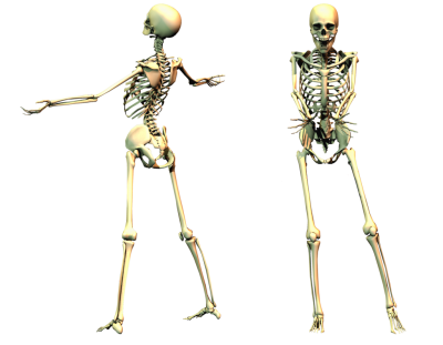 Skeleton Free Download Transparent PNG Images