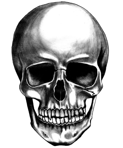 Skull Png PNG Images