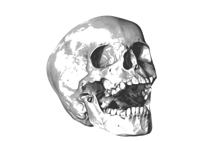 Skull HD Image PNG Images