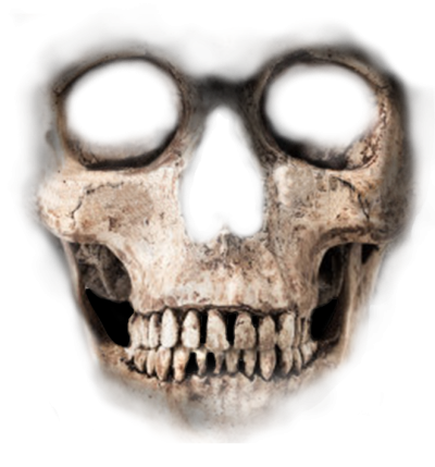 Skull Transparent Background PNG Images