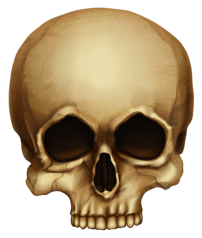 Skull Free Transparent Png PNG Images