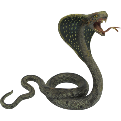 Snake Free Download 18 PNG Images