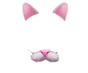 Cats, Dogs, Pink, images About Snapchat Filters Png PNG Images