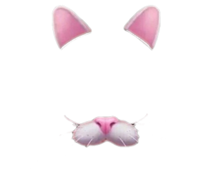 Cats, Dogs, Pink, Images About Snapchat Filters Png PNG Images