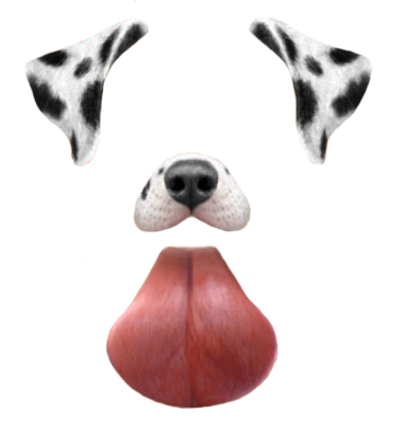 Dog, Language, Kulah, Eye, Color, Nose, Dog, Pictures PNG Images