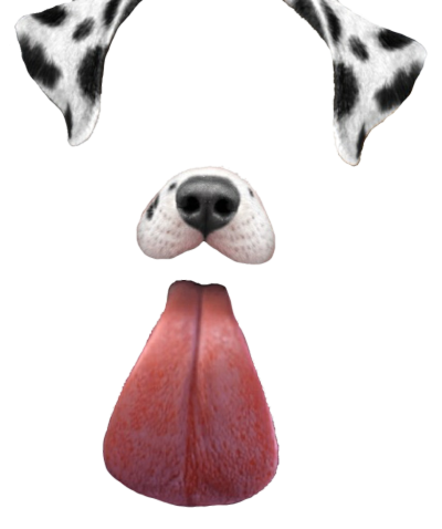 Dog, Language, Kulah, Eye, Color Snapchat Png Pictures PNG Images