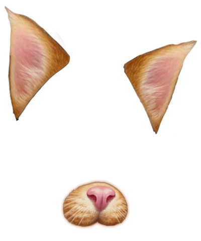 Ear, Nose, Donkey, Dogs, Cats, Png Pictures PNG Images