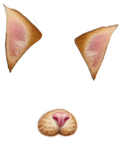 download snapchat filters free png transparent image and clipart