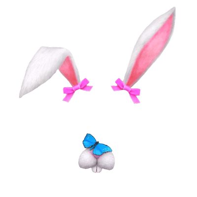 Easter Bunny Transparent Image​