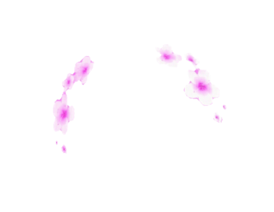 Snapchat Filter Flower Tears Transparent Png PNG Images