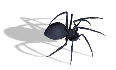 Spider, shadow, walking images, download photo pictures png