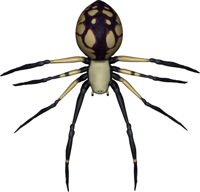 3D Spider PNG Images