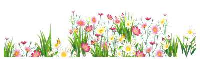 Transparent Background Spring 18 PNG Images