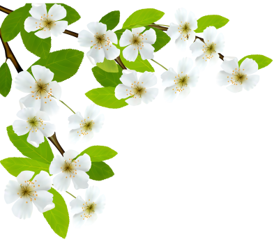 Transparent Spring Picture PNG Images