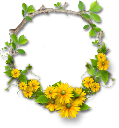 St Patricks Day Daisy Crown Png Transparent Free Download PNG Images