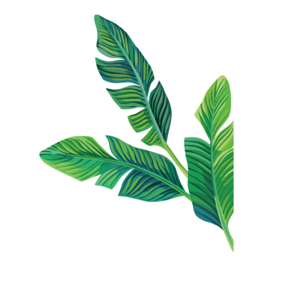 Tropical green leaves sticker png transparent background