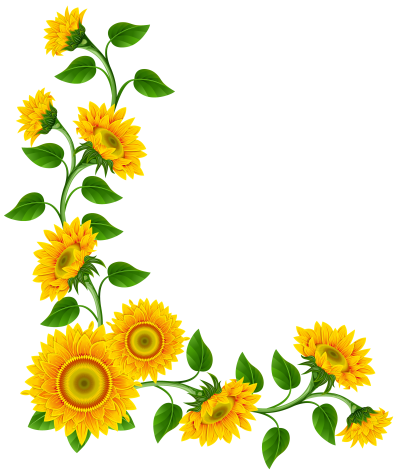 Free Free 230 Transparent Background Realistic Sunflower Svg SVG PNG EPS DXF File