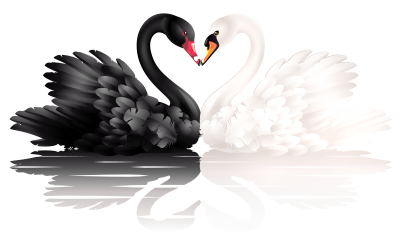 Blak Metal Swan Png Images PNG Images