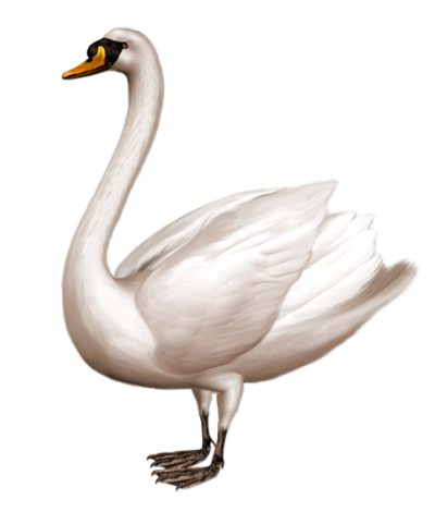 Metal Swan Png Images PNG Images