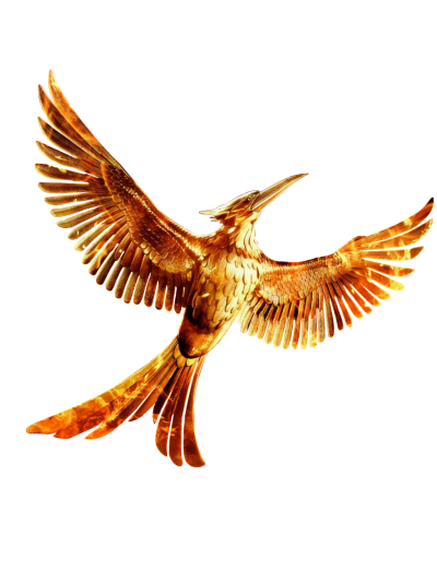 The Hunger Games Bird PNG Images
