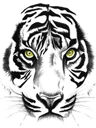 Tiger Tattoos png images  PNGWing