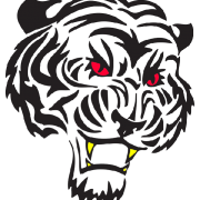 Tiger Tattoos Png Pictures PNG Images