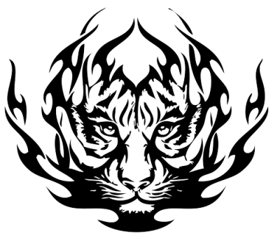 Tigre, Astratto, Animale, Tiger, Sumatra, images PNG Images