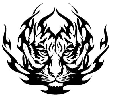 Tigre, Astratto, Animale, Tiger, Sumatra, Images PNG Images