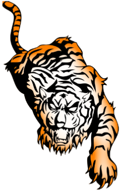 Tribal Tiger Tattoos Pictures PNG Images