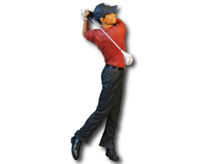 Tiger Woods Background PNG Images