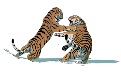 Tiger, Animal, War, Fighting Design Transparent Png PNG Images