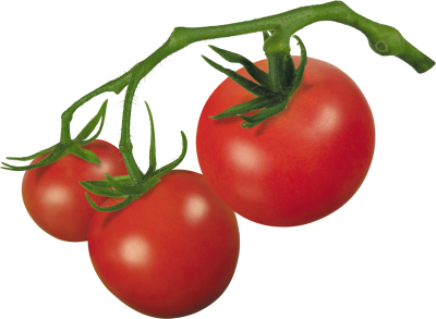 Tomato Transparent Background PNG Images