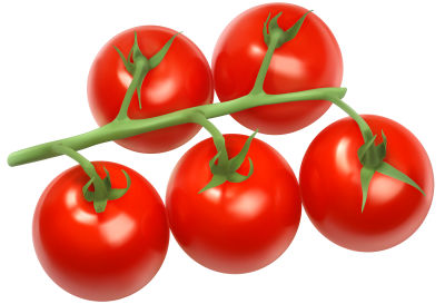 Tomato Best PNG Images