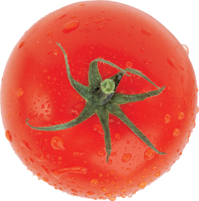 Tomato Red Picture PNG Images