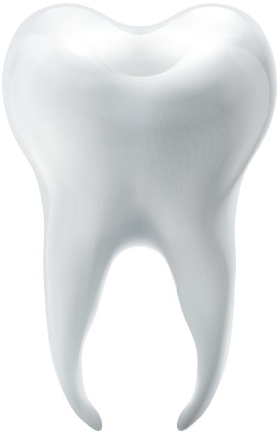 Download TOOTH Free PNG transparent image and clipart