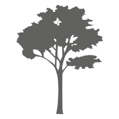 Tree Silhouette Cut Out Png PNG Images
