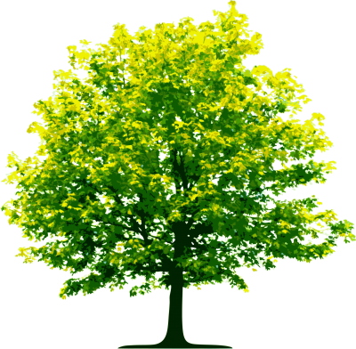 Nature Tree - 6408 - TransparentPNG