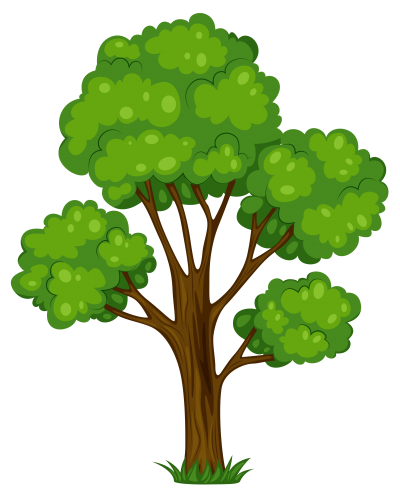 Download TREE Free PNG transparent image and clipart