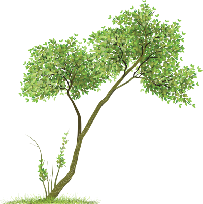 Tree Cutouts Architecture Png PNG Images