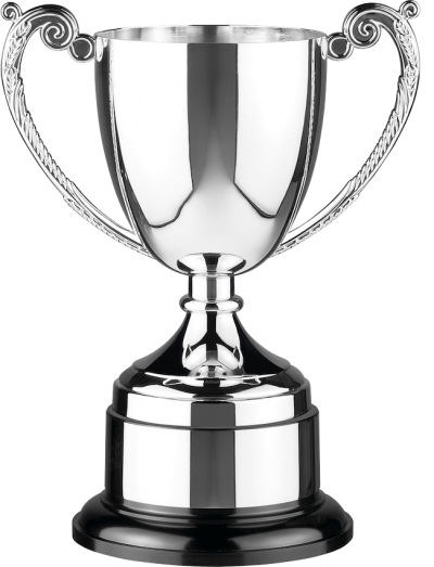 Silver trophy transparent image 11 icon images png