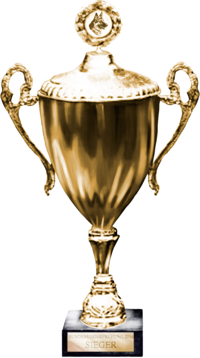 Trophy High Quality PNG Golden Medal Image PNG Images