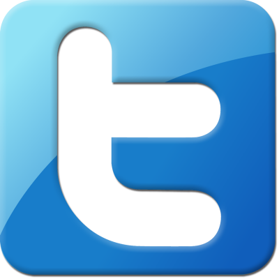 New Twitter Logo Png Transparent PNG Images