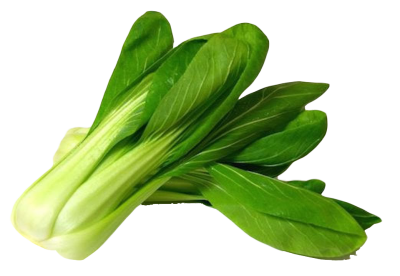 Bok Choy Vegetable Transparent PNG Images