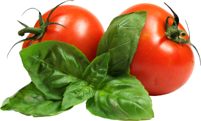 Yummy Red Tomato Png PNG Images