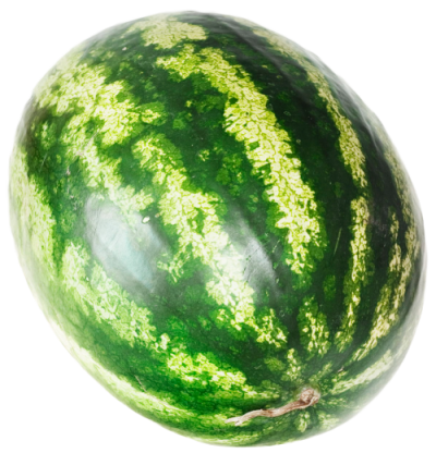 Download watermelon image png