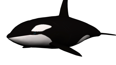 Whale Best Png PNG Images