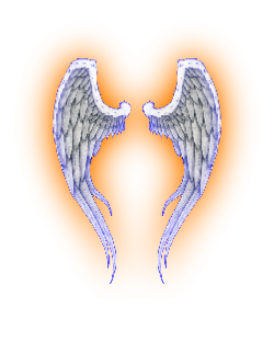 Angel Wings Tattoos Photo Png PNG Images